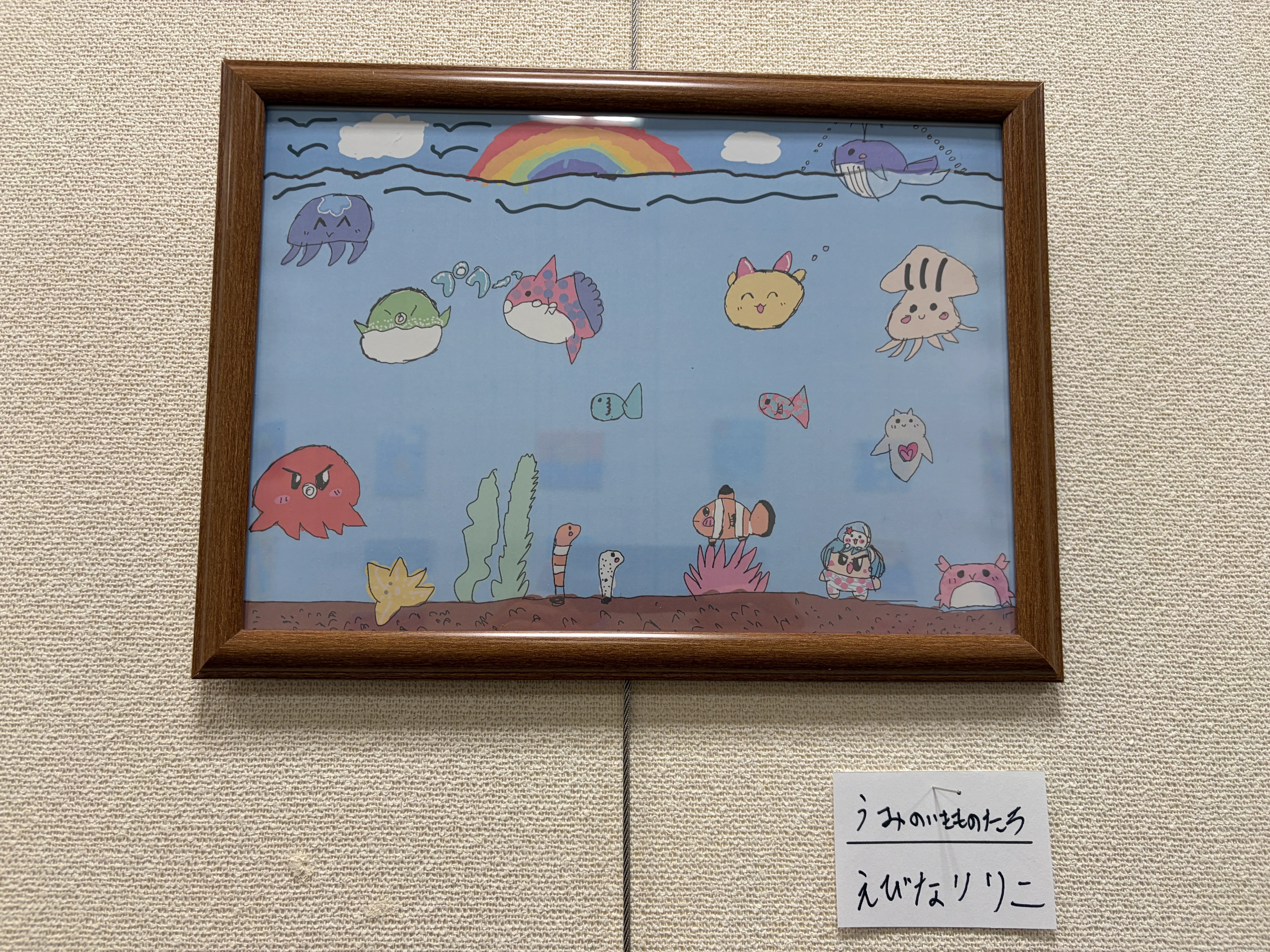 海の生き物たち
