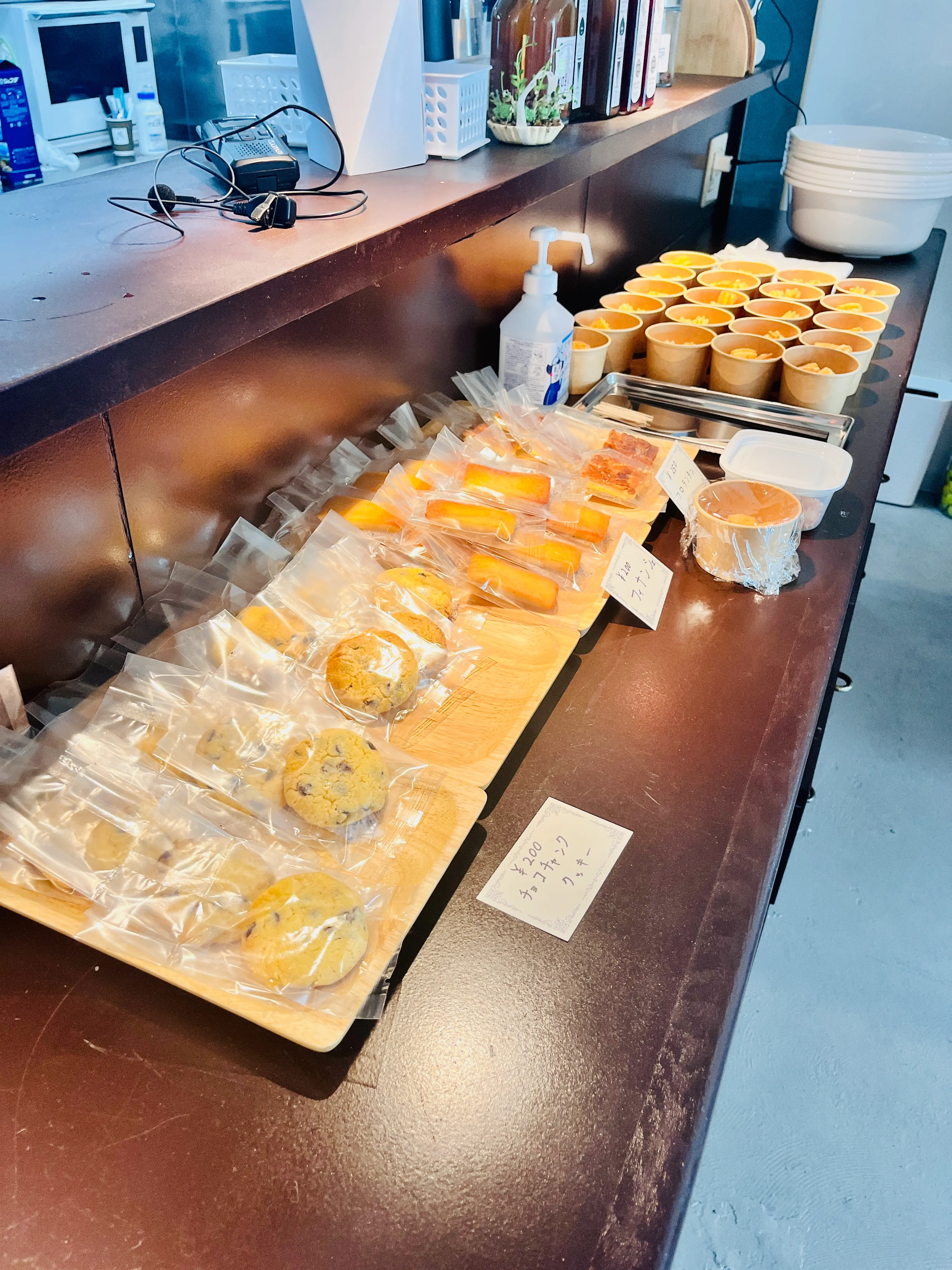 ここあそ2024年夏 ギャラリー