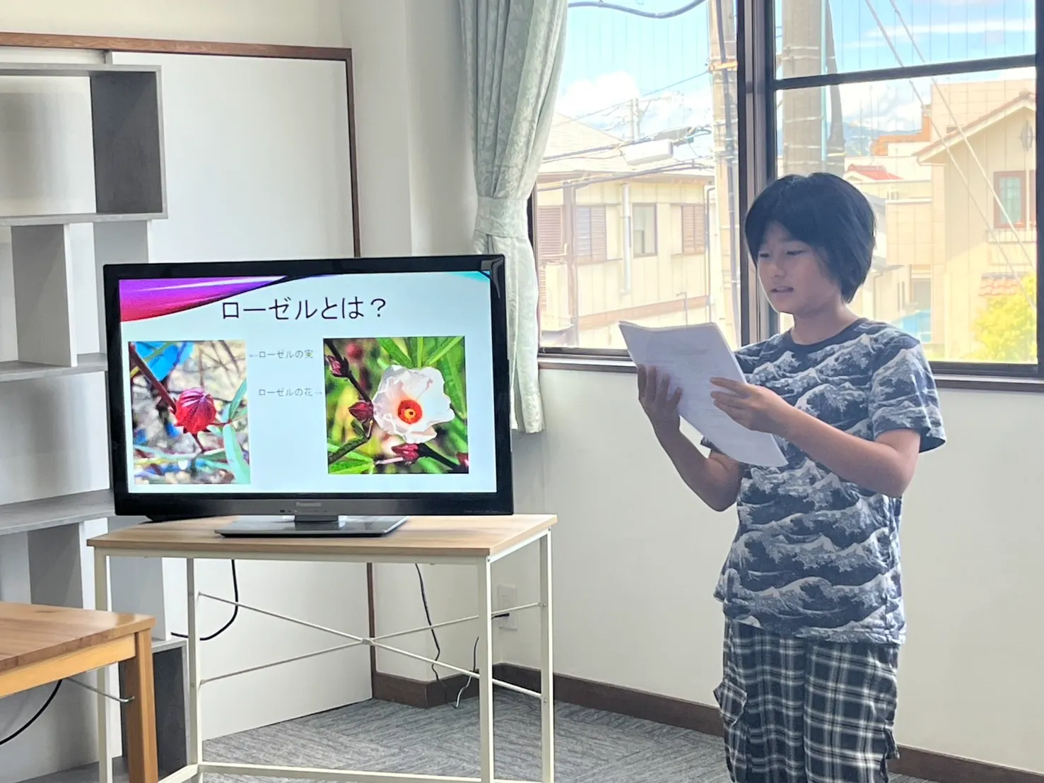 ここあそ 2025年夏 ギャラリー画像3